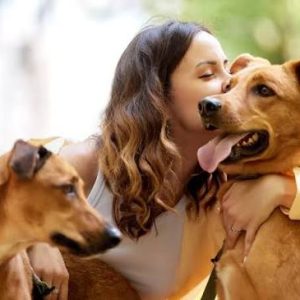 How Much Does Pet Insurance Cost Factors That Change Your Monthly Premium