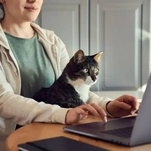 How to Lower Pet Insurance Premiums Without Losing Important Coverage