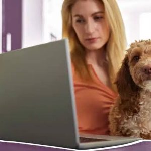 Pet Insurance Claim Denied? Reasons, Appeals, and Next Steps